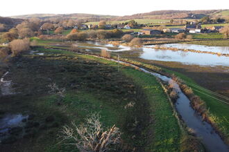 International Beaver Day 2024 | Hampshire and Isle of Wight Wildlife Trust